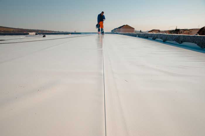 Professional Commercial Roofing Services