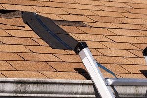 Top Tips For Maximizing The Lifespan Of Your Roof